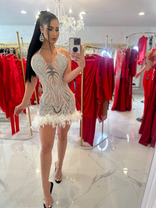 Chic Embroidery Mesh Sequin Mini Dress