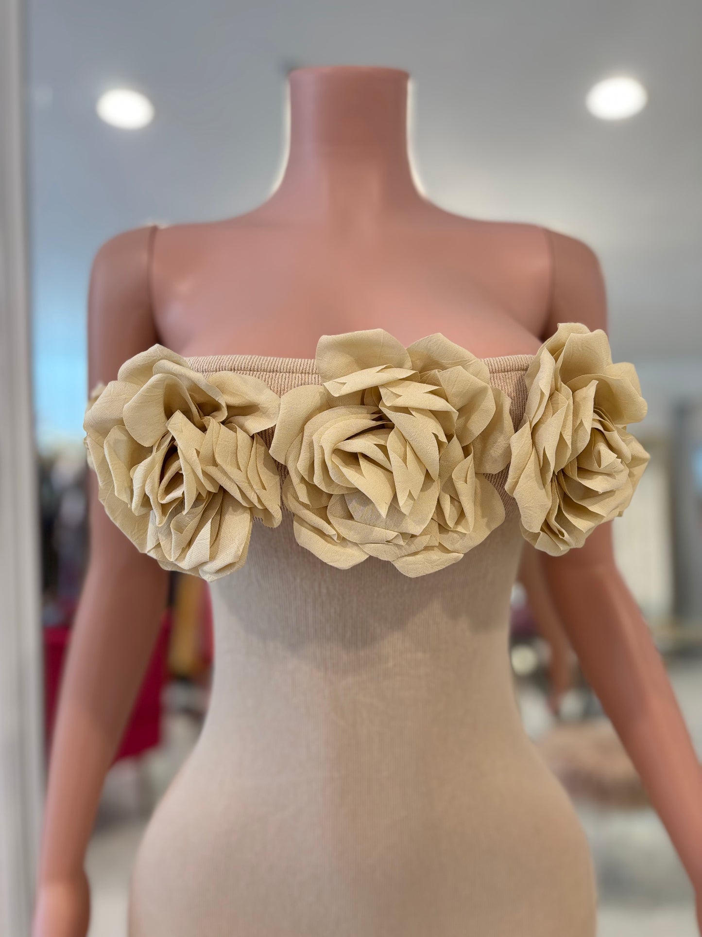 I Am The One Maxi Dress Beige