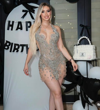 Paris crystal dress (White/silver