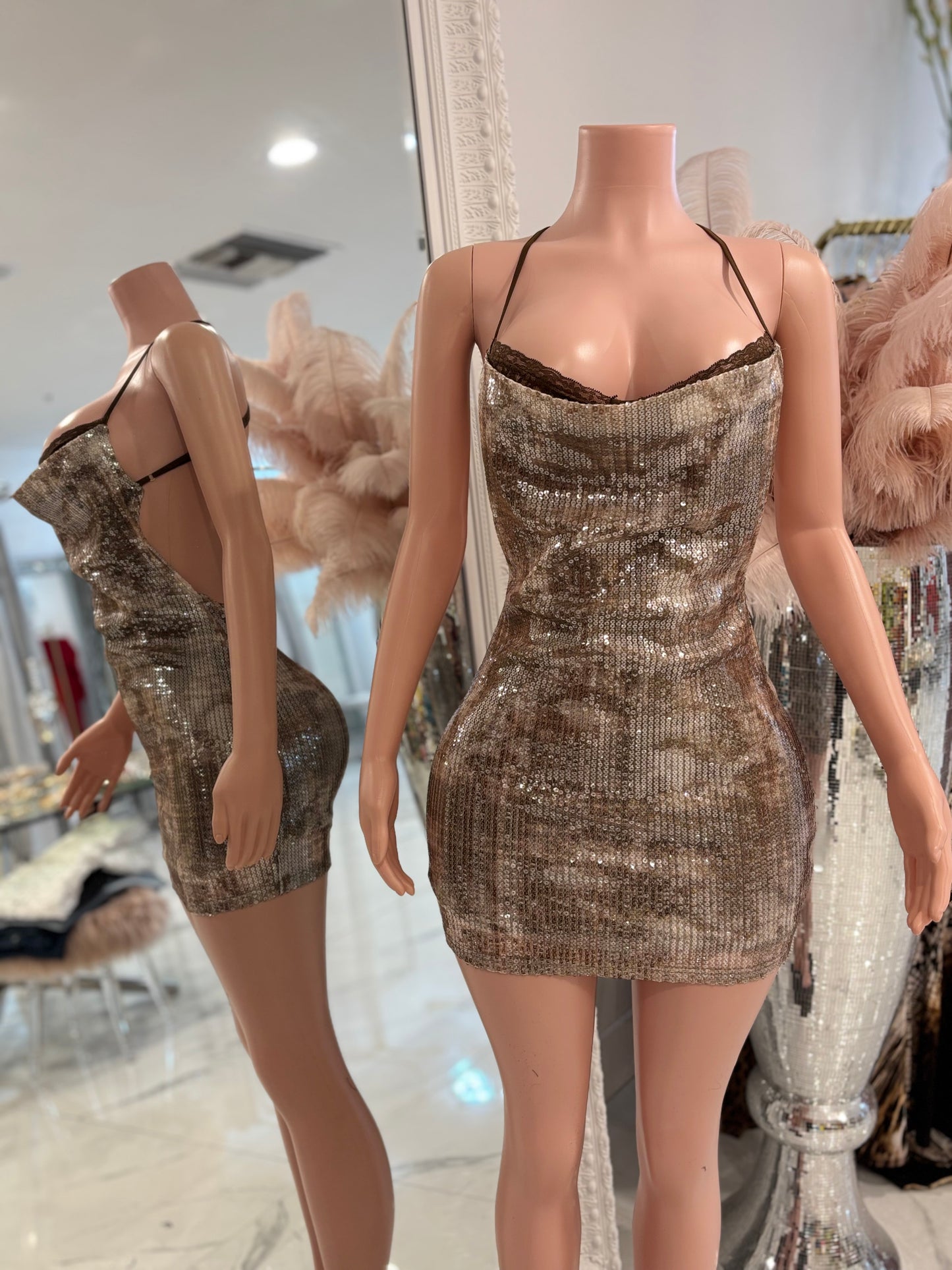 Strike a Pose Mini Dress Brown