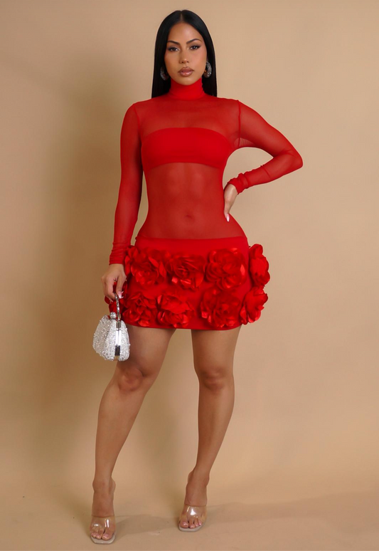 Bloom Veil Mesh Floral Mini Dress Red