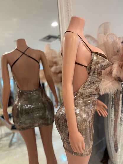 Strike a Pose Mini Dress Brown