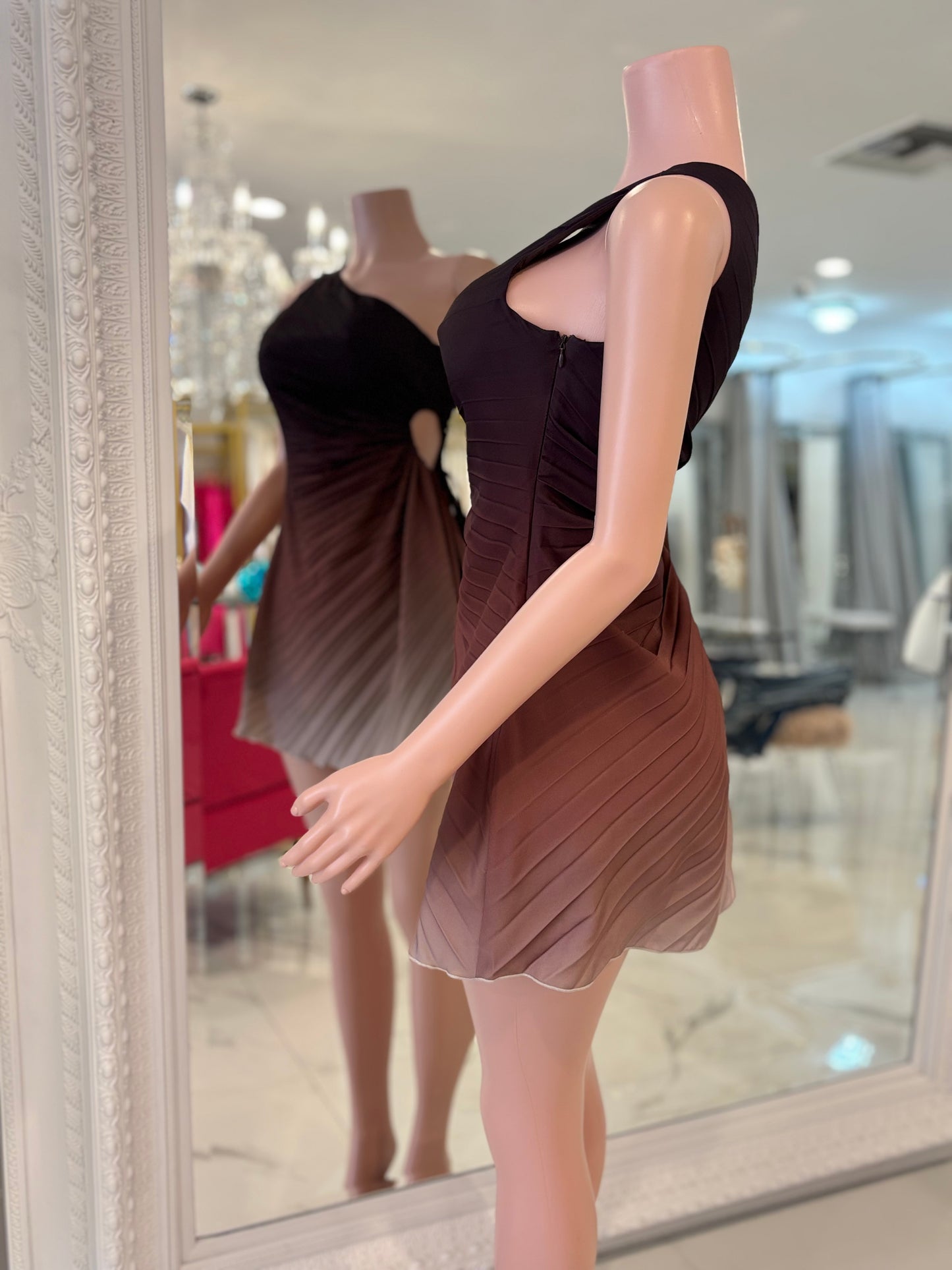 Take a Look Mini Dress