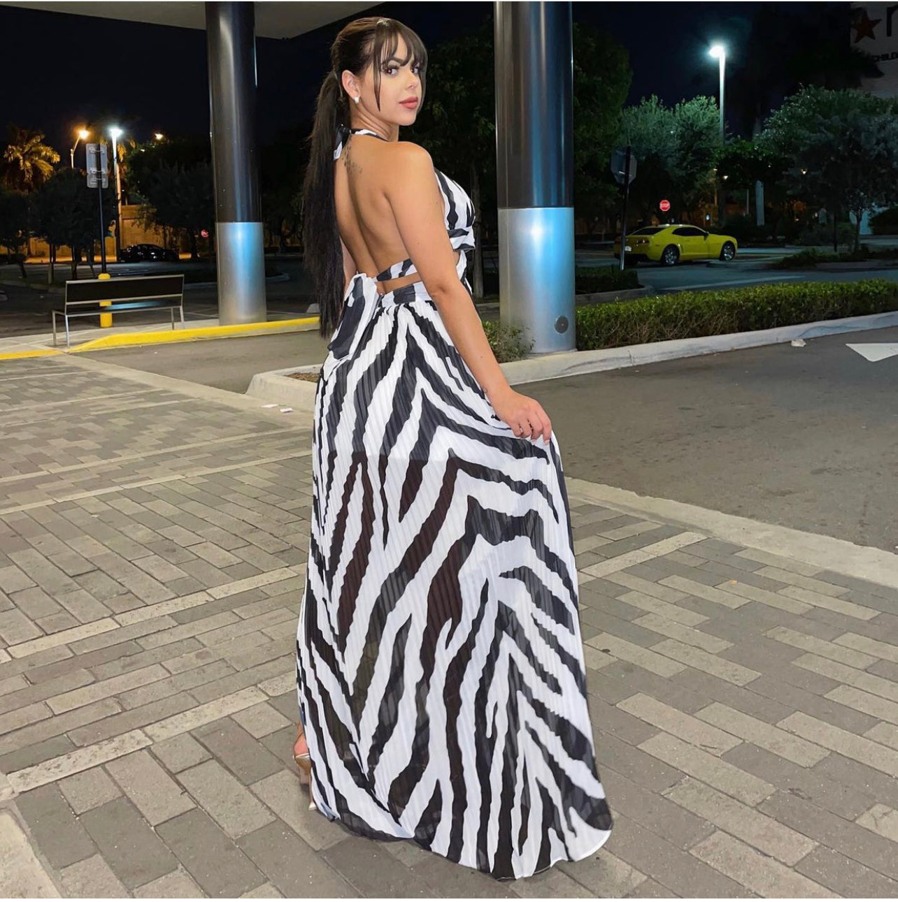 Zebra Maxi Dress